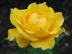 E53DDD14-7582-422E-9DBE-0BBDA4DF3096